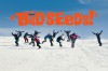 NITRO SNOWBOARDS FULL MOVIE: THE BAD SEEDS