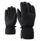 Ziener GISDO GTX(R) glove ski alpine black